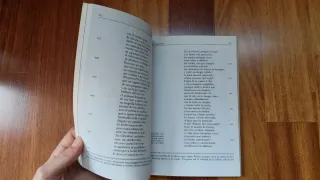 La vida es sueño (Biblioteca Didactica Anaya) (...