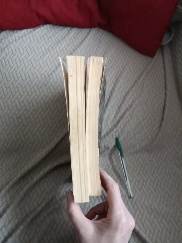 BOB DYLAN. Escritos, canciones y dibujos 2 libros