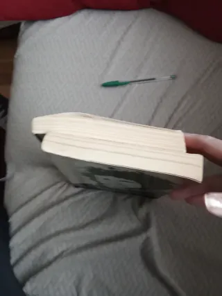 Bob Dylan. Escritos, canciones y dibujos 2 libros.