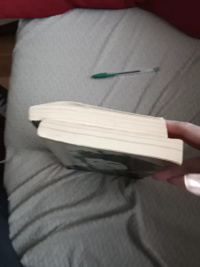 BOB DYLAN. Escritos, canciones y dibujos 2 libros