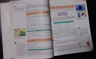 Cosmetología para estética y belleza