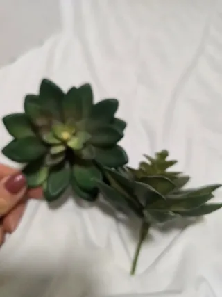 Planta Suculenta Artificial Verde