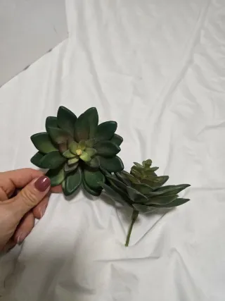 Planta Suculenta Artificial Verde