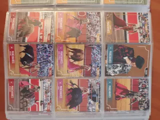 Álbum Coleccionismo Taurocromos Toros