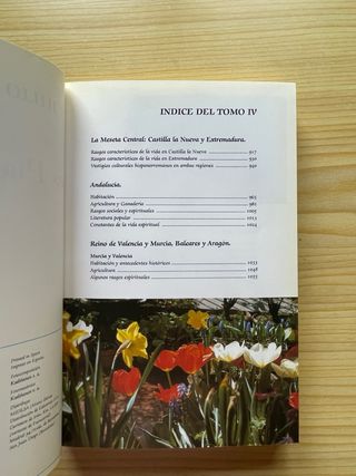 Pack: tomo IV + glosario + guía provincial