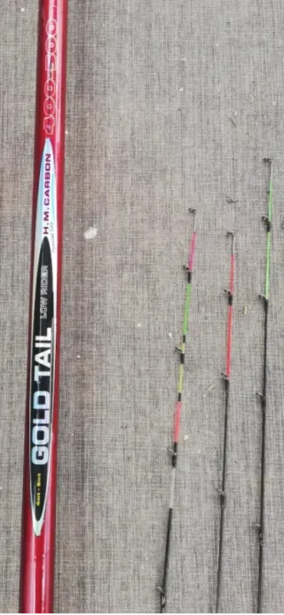 Caña de Pesca Barros Gold Tail Competición