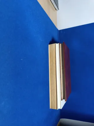 El corazon es un cazador solitario