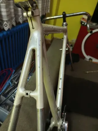 Cuadro Mendiz Campagnolo