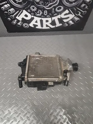 Radiador Agua Honda Forza 350 2024
