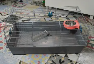 Jaula para conejo con accesorios