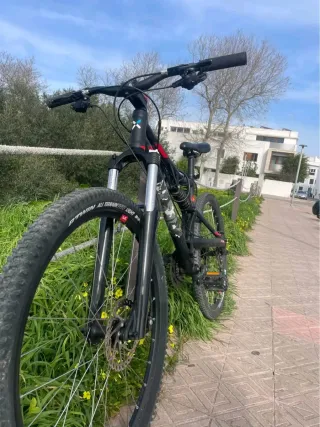 Bici