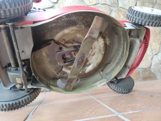 Cortacésped de gasolina Sterwins