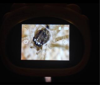 Microscopio Digital Infantil Amarillo