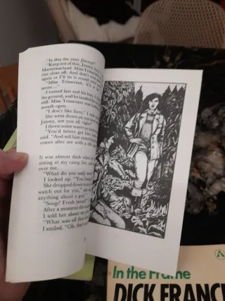 A sherlock Holmes, Landslide, In the frame