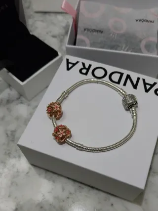 Pulsera Pandora con 2 charms Pandora para Maria