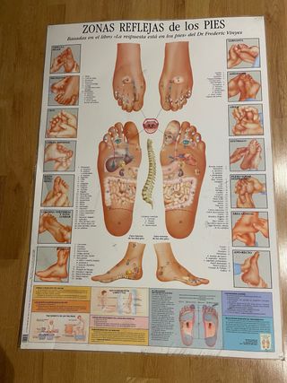 Póster Zonas Reflejas de los Pies