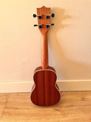 Ukelele con funda