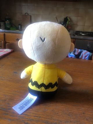 Peluche Snoopy e Charlie Brown