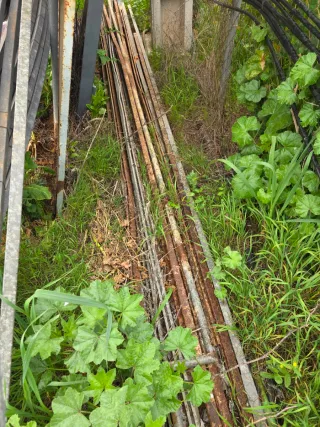 Estructura Invernadero Metálica