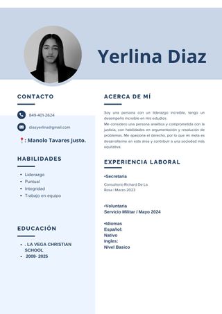 Diseño de CV Profesional Personalizado