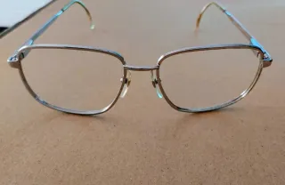 Montura de gafas Morel plateada