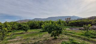 ¿VENDES PARCELA RUSTICA O URBANA ?