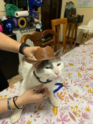 Sombrero Vaquero para Gato