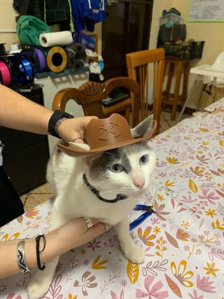 Sombrero Vaquero para Gato