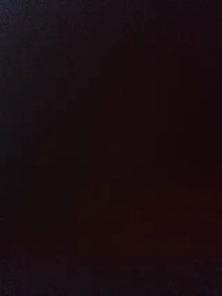 Olivos de 40 años en venta