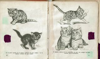 COMO DIBUJAR FELIDOS. E. FREIXAS