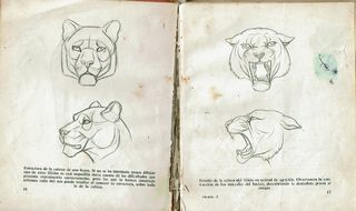 COMO DIBUJAR FELIDOS. E. FREIXAS