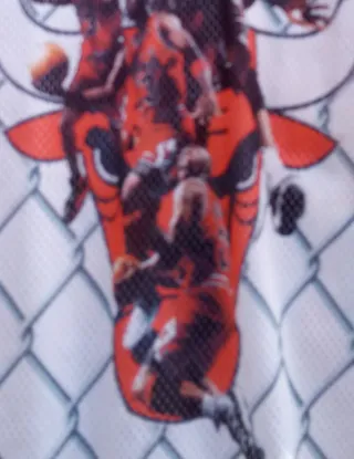 BLACK FOX CAMISETA CHICAGO BULLS DE BALONCESTO TM