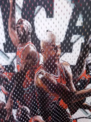 BLACK FOX CAMISETA CHICAGO BULLS DE BALONCESTO TM