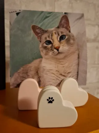 Corazón porta foto decorativo, yeso cerámico