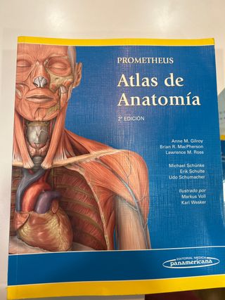Prometheus. Atlas de Anatomía (Spanish Edition)