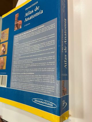 Prometheus. Atlas de Anatomía (Spanish Edition)