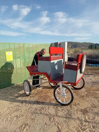 Carro para pony o caballo tipo Wells