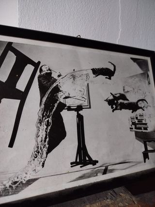 Quadro Surrealista Gatti e Acqua Salvador Dalì