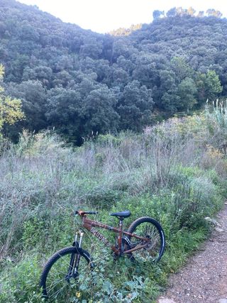 Bicicleta Kona Talla 24