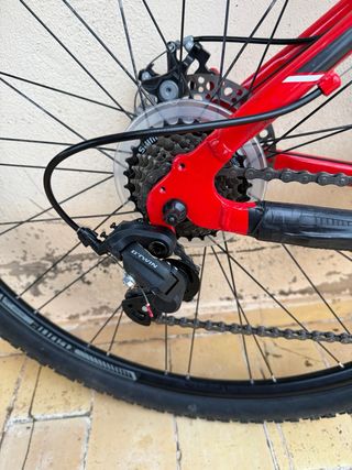 Bicicleta de montaña NTT 29