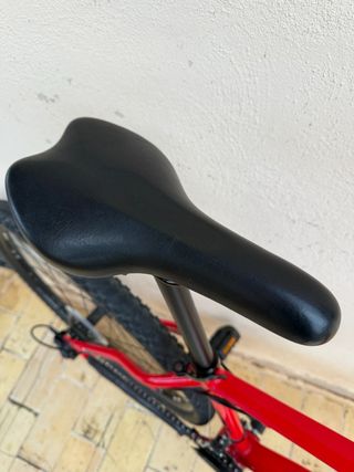 Bicicleta de montaña NTT 29