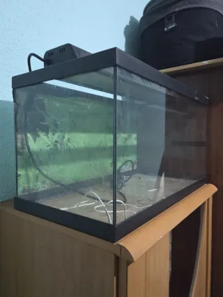 Pecera con sistema de bombas