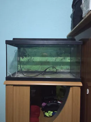 Pecera con sistema de bombas