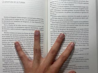 Los escarabajos vuelan al atardecer