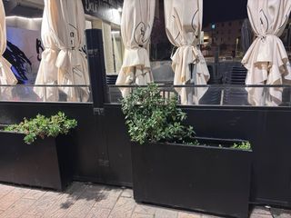 Separador terraza con jardinería