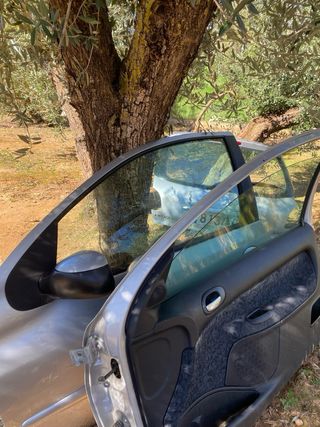 Portón trasero y puertas Peugeot 206