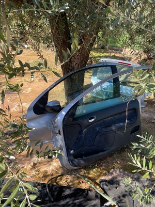 Portón trasero y puertas Peugeot 206