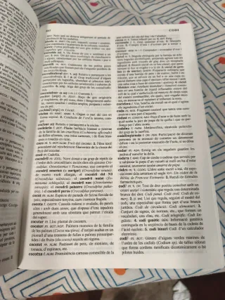 Diccionario Valenciano