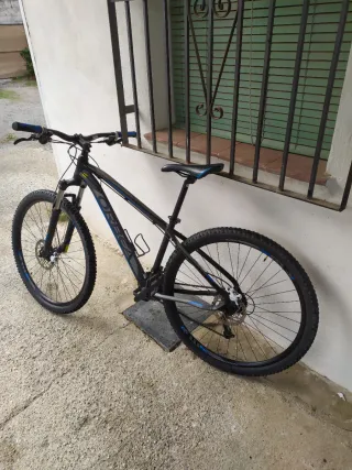 Orbea mx 40 29"