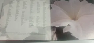 Vinilo Seguridad Social - iQue No Se Apague La Lla